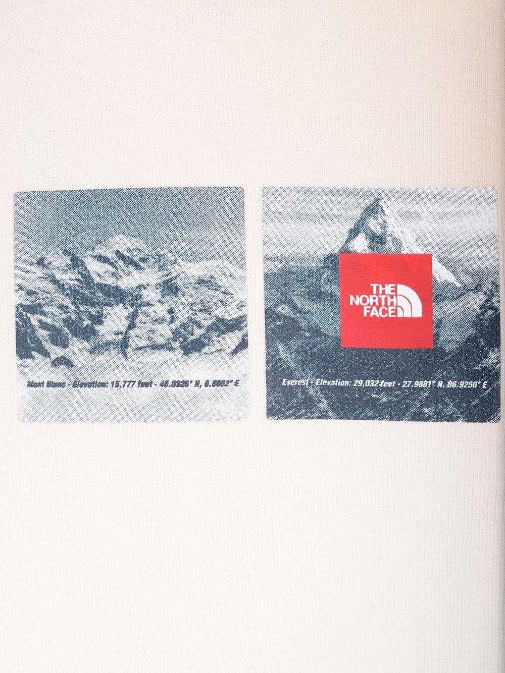 Al Duca D'Aosta The North Face Felpa "Expedition System"