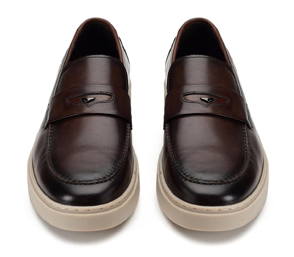 Alberto Guardiani FRAMES 319401