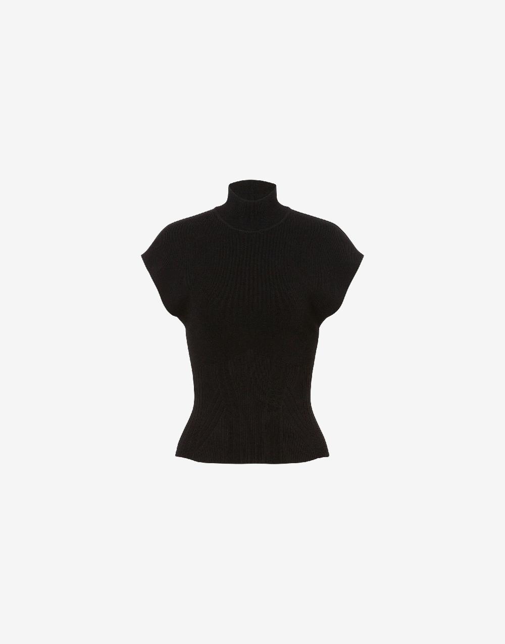 Alberta Ferretti Top a collo alto in maglia stretch