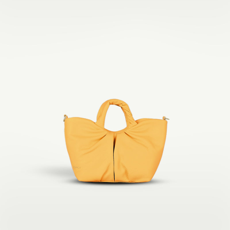 ALMALA KOURTNEY | ALBICOCCA