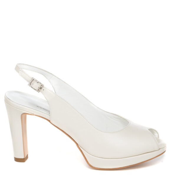 Andrea Pinto Art. 483