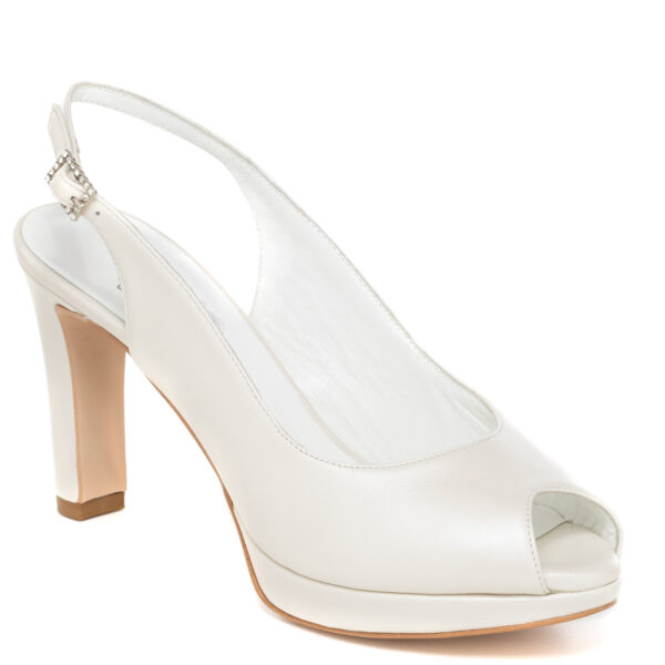 Andrea pinto Art. 483