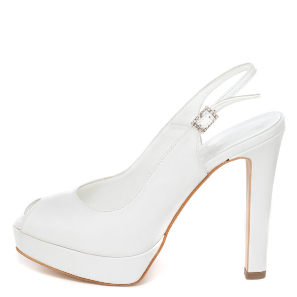 Andrea Pinto Art. 484