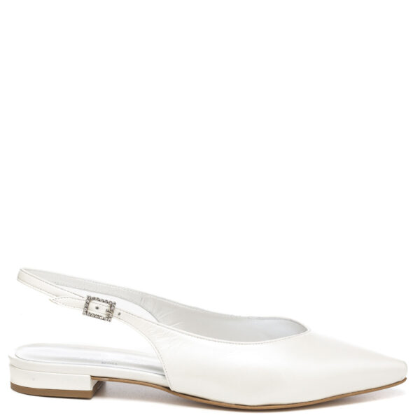 Andrea Pinto Art. 637