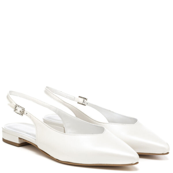 Andrea pinto Art. 637