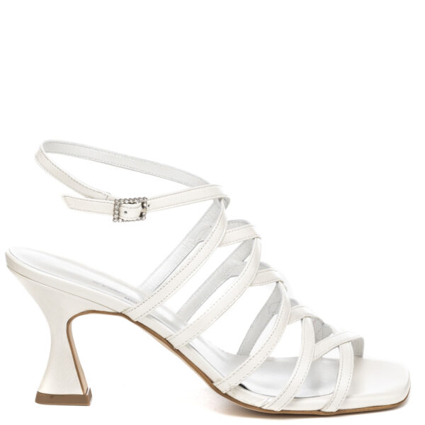 Andrea Pinto Art. 641