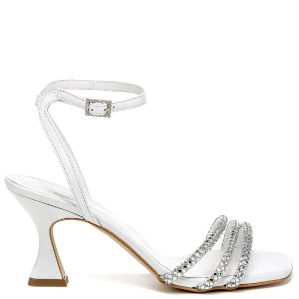 Andrea Pinto Art. 642