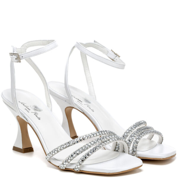 Andrea pinto Art. 642