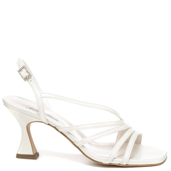 Andrea Pinto Art. 649