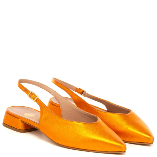 Andrea pinto Art.801