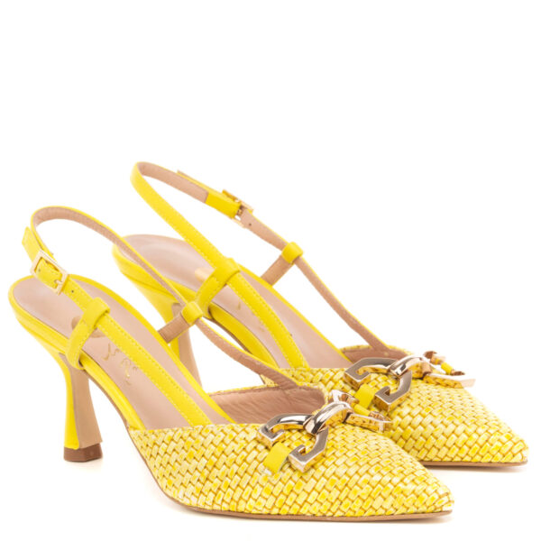 Andrea pinto Art.816