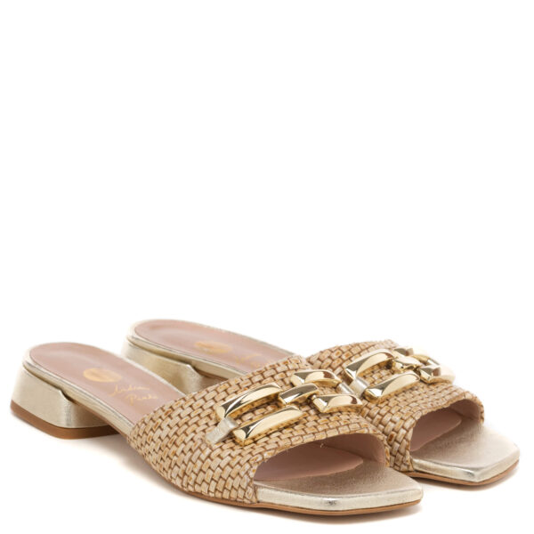 Andrea pinto Art.828