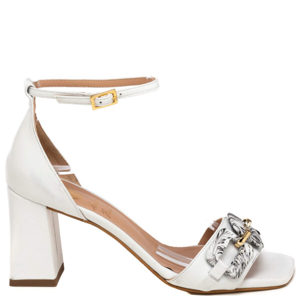 Andrea Pinto Art.832