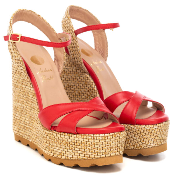 Andrea pinto Art.856