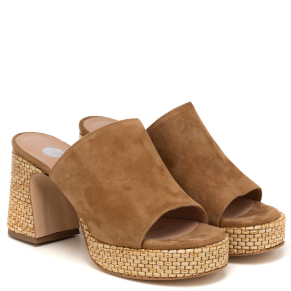 Andrea pinto Art.858