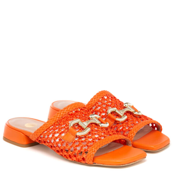 Andrea pinto Art.860