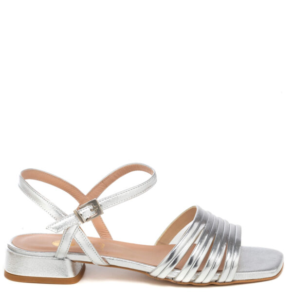 Andrea Pinto Art.861