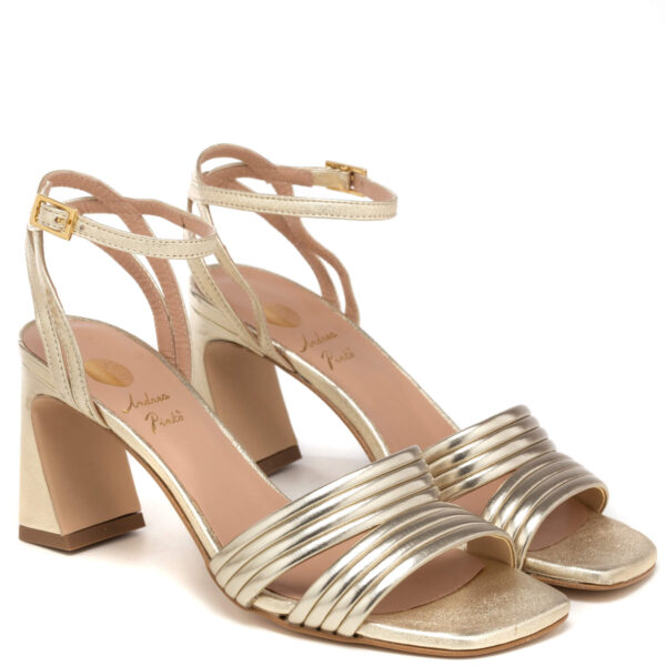 Andrea pinto Art.863