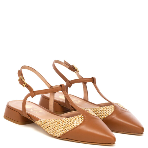 Andrea pinto Art.877