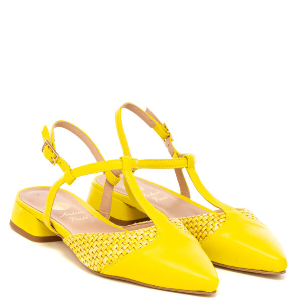 Andrea pinto Art.877