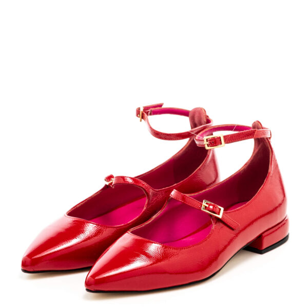 Andrea pinto Art.906