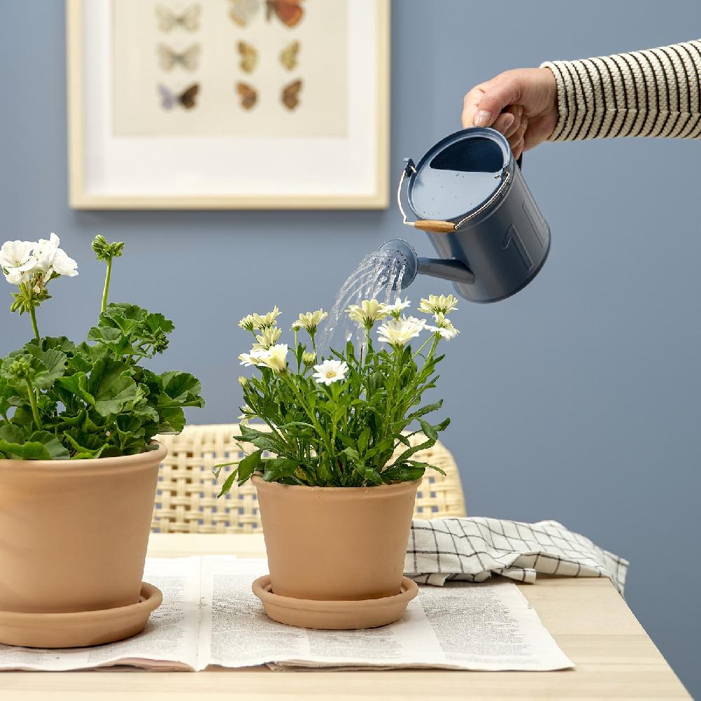 IKEA ÅKERBÄR Annaffiatoio Da Interno/esterno Blu Scuro 1 L
