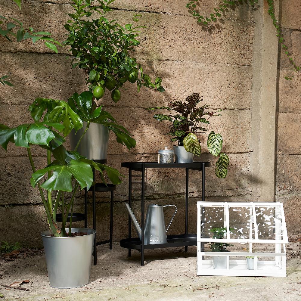 IKEA ÅKERBÄR Annaffiatoio Da Interno/esterno Galvanizzato 2.5 L