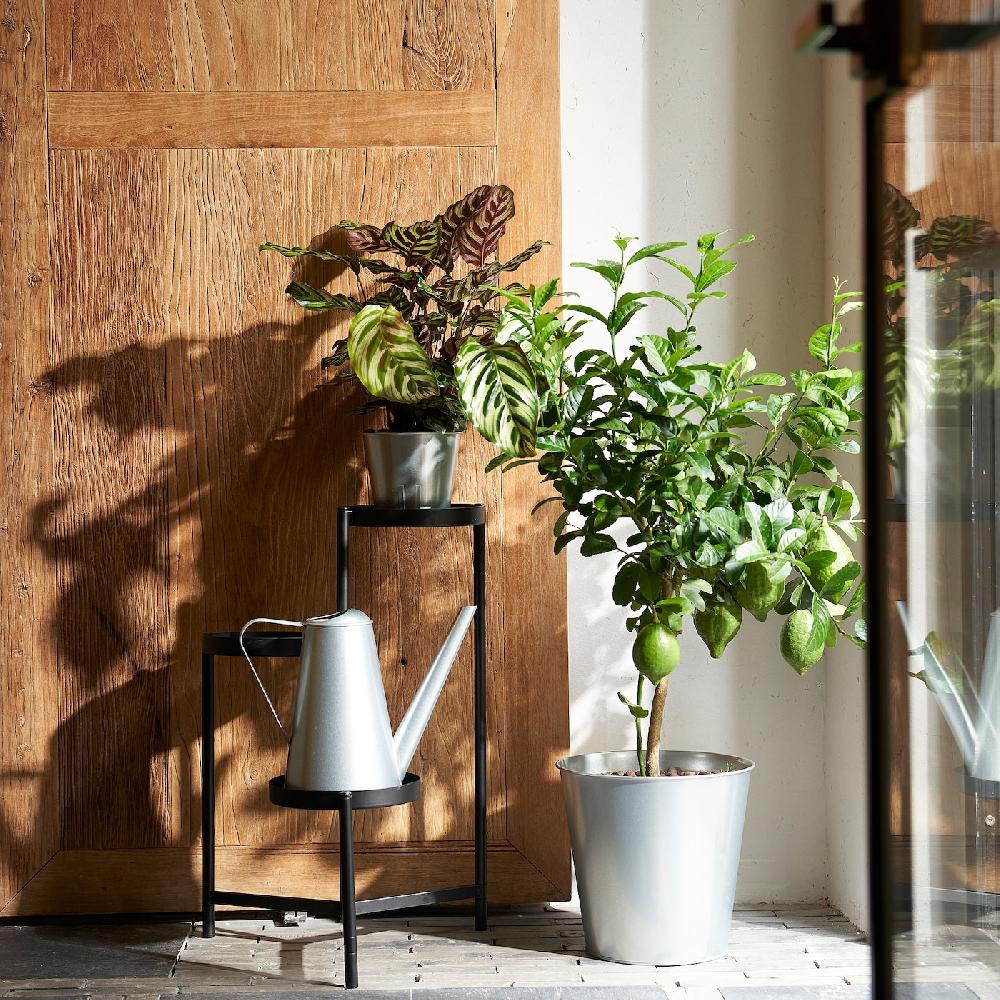 IKEA ÅKERBÄR Annaffiatoio Da Interno/esterno Galvanizzato 2.5 L