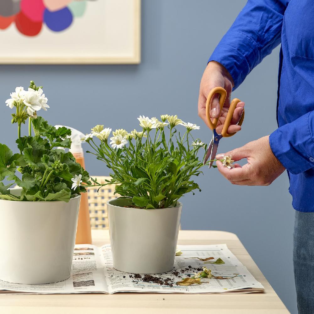 IKEA BRYTBÖNA Forbici Da Giardinaggio Arancione 16 Cm