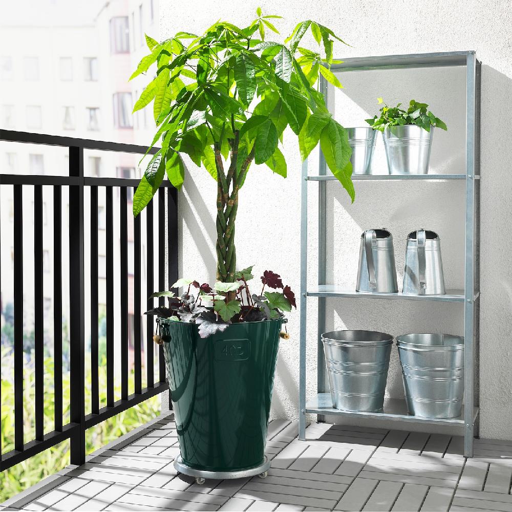 IKEA PACHIRA AQUATICA Pianta Da Vaso Pachira 27 Cm