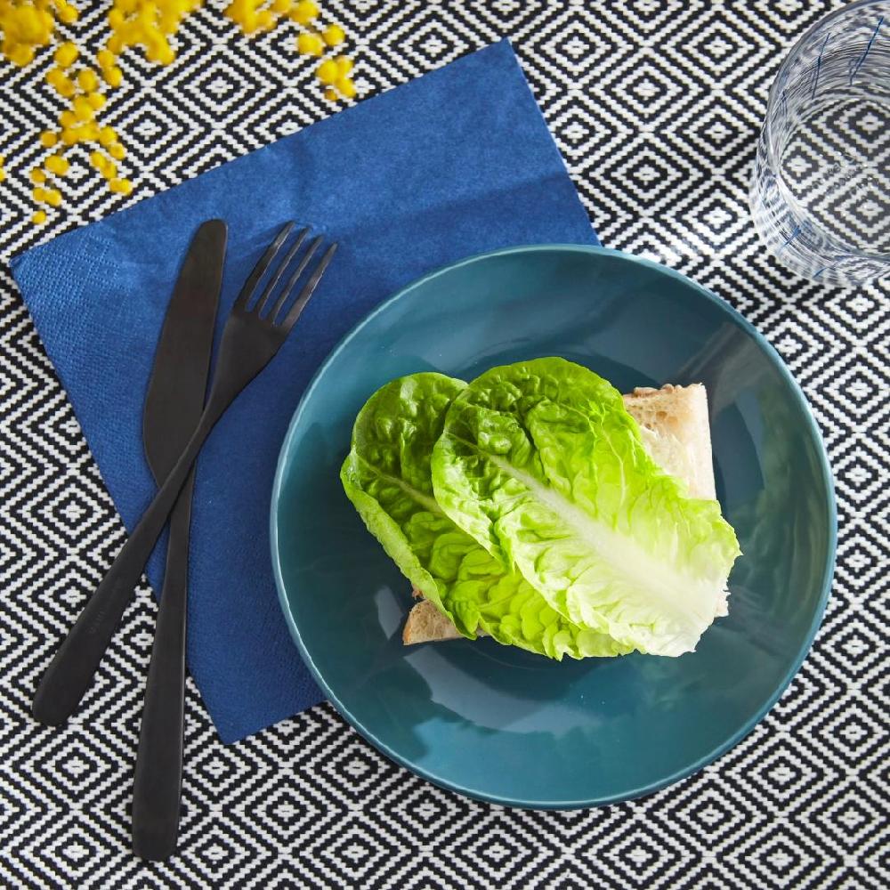 IKEA SÅS SENAP & DILL Salsa Per Salmone Marinato