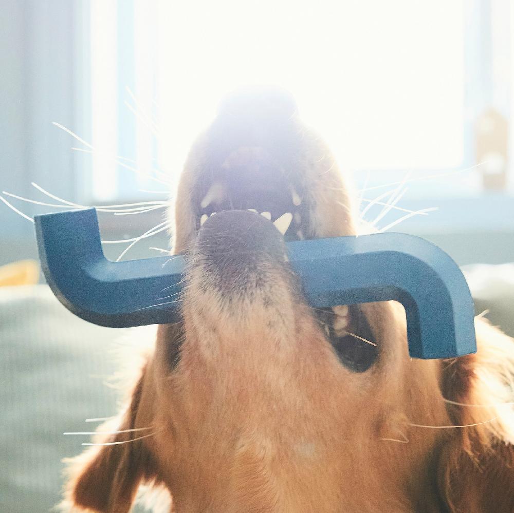 IKEA UTSÅDD Giocattolo Per Cani Blu Scuro