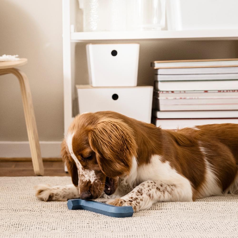 IKEA UTSÅDD Giocattolo Per Cani Blu Scuro