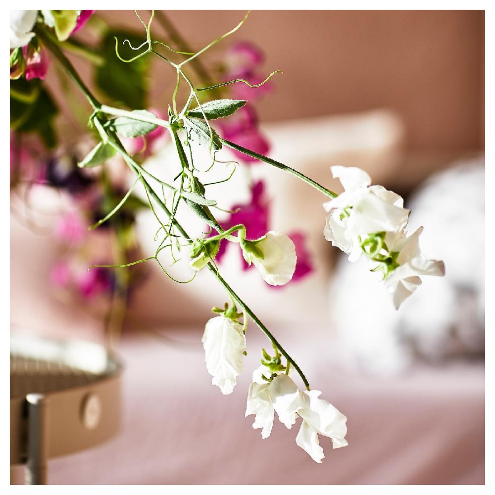 IKEA JÄMNMOD Potpourri Profumato Cicerchia Odorosa/viola 90 G