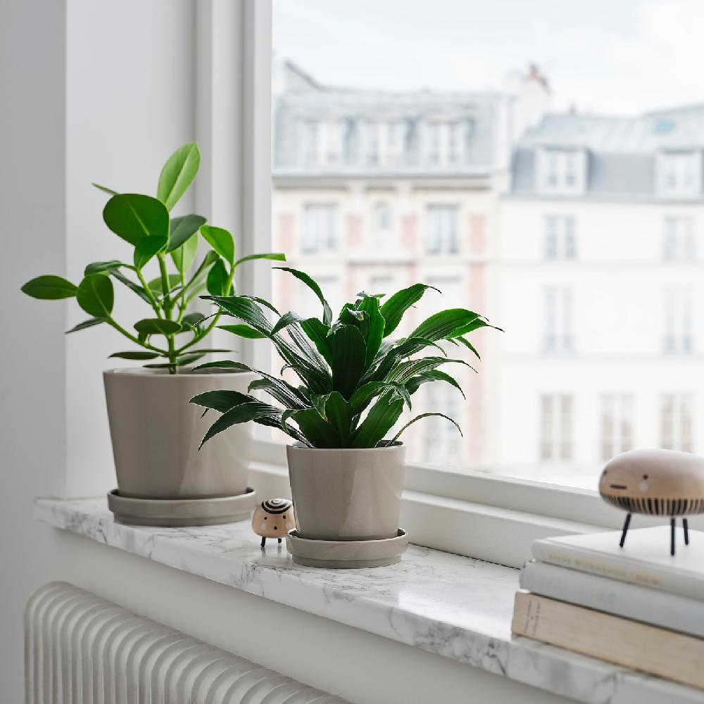 IKEA KLOTLÖNN Vaso Con Sottovaso Da Interno/esterno/grigio/beige 15 Cm