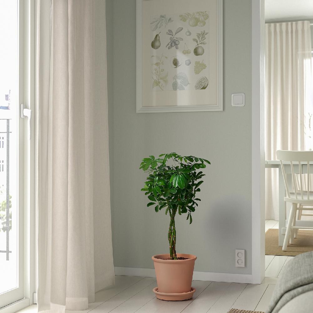 IKEA MUSKOTBLOMMA Vaso Con Sottovaso Da Interno/esterno Terracotta 19 Cm