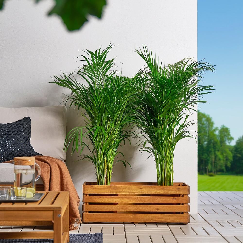 IKEA STJÄRNANIS Fioriera Da Esterno Acacia 75x27 Cm