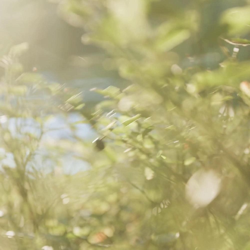 IKEA STÖRTSKÖN Candela Profumata In Vetro Frutti Di Bosco/rosso 20 H