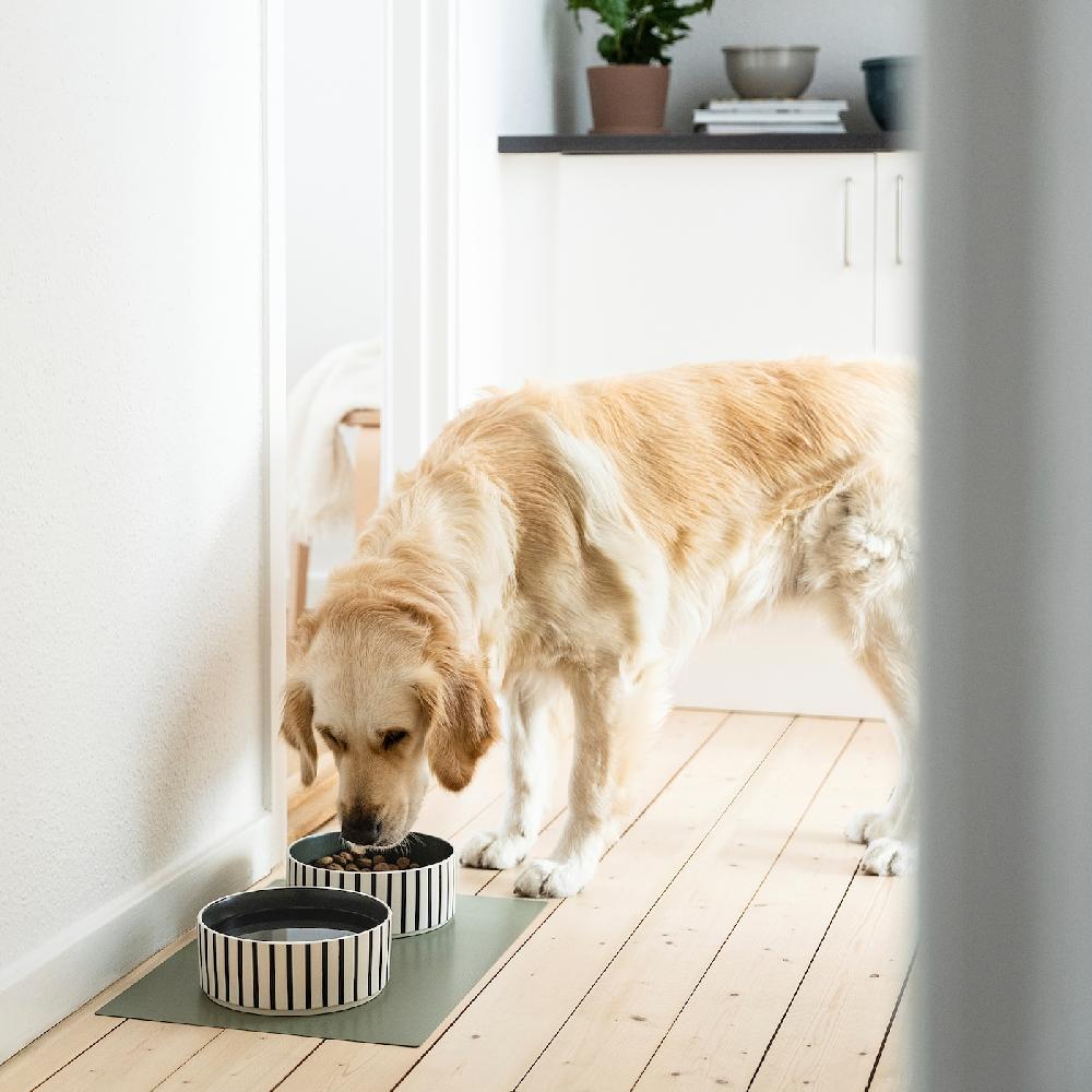 IKEA UTSÅDD Ciotola Per Animali Domestici Motivo A Righe Blu-nero/grigio-verde 19 Cm