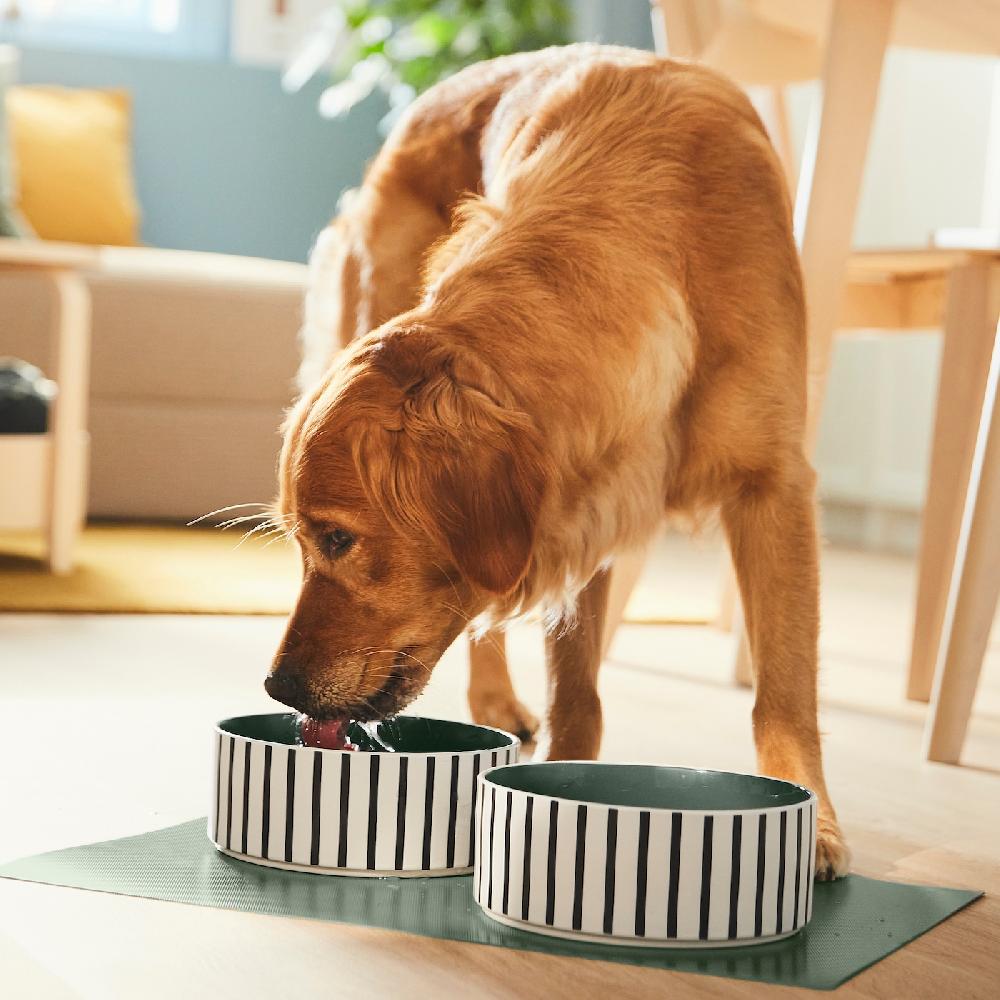 IKEA UTSÅDD Ciotola Per Animali Domestici Motivo A Righe Blu-nero/grigio-verde 19 Cm