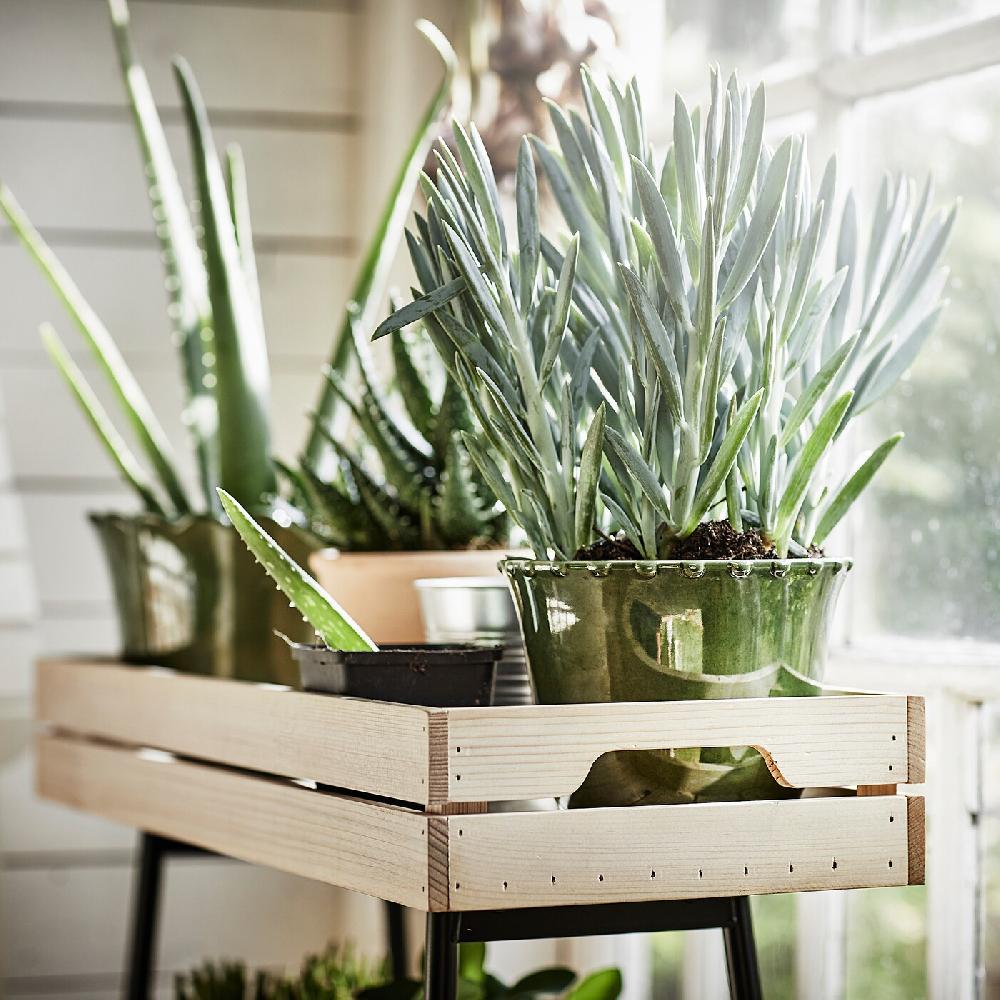 IKEA VANILJSTÅNG Piedistallo Per Piante Pino/nero 67 Cm