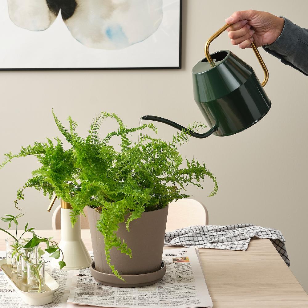 IKEA VATTENKRASSE Annaffiatoio nero-verde/color oro 2.0 l