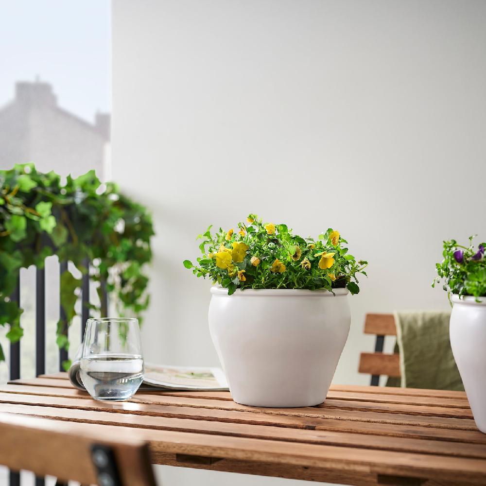 IKEA VIOLA CORNUTA Pianta Da Vaso Viola Del Pensiero Colori Vari 10 Cm