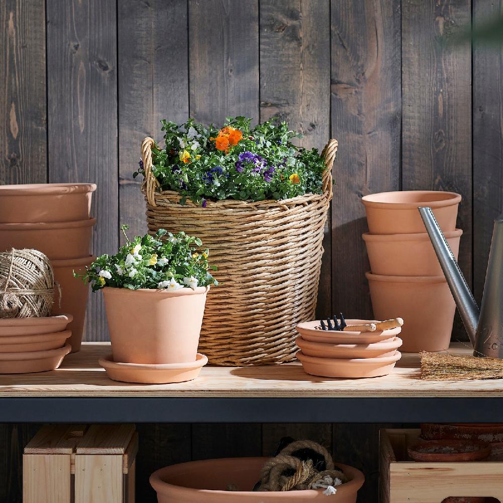 IKEA VIOLA CORNUTA Pianta Da Vaso Viola Del Pensiero Colori Vari 10 Cm