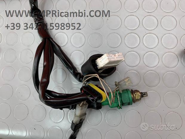 Subito CABLAGGIO IMPIANTO BENELLI TNT 1130 2004 2005 2006