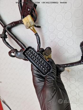 Subito CABLAGGIO IMPIANTO HONDA HORNET 600 2003 2004