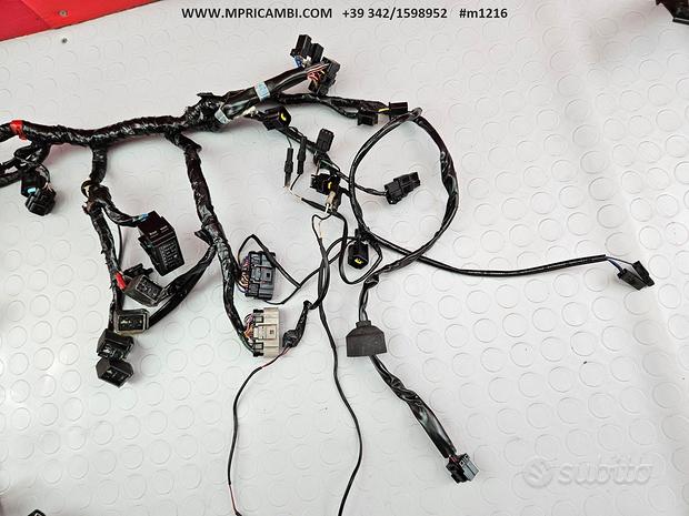 Subito CABLAGGIO IMPIANTO TRIUMPH STREET TRIPLE 675 2007