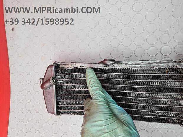 Subito RADIATORI RADIATORE TM MX 250 1997 1998 EN 2t