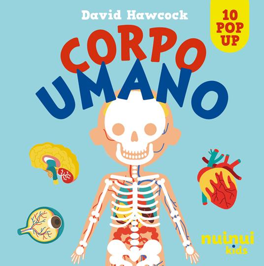 LaFeltrinelli Corpo umano. Sorprendenti pop up. Ediz. a colori
