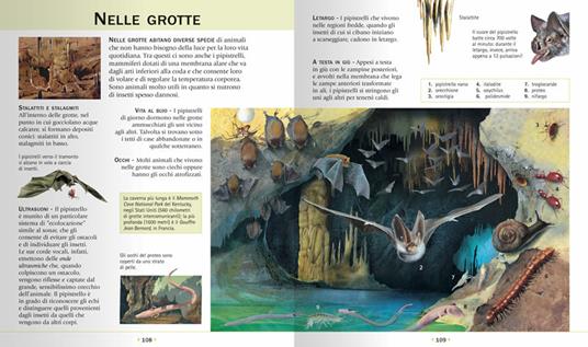 LaFeltrinelli Enciclopedia Illustrata Degli Animali